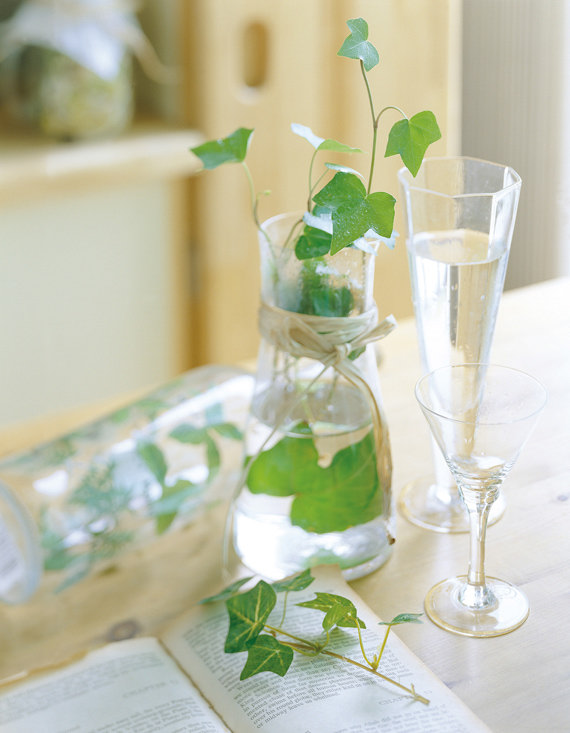 スタッフの写真