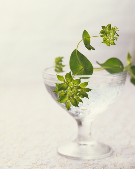 ティータイム写真